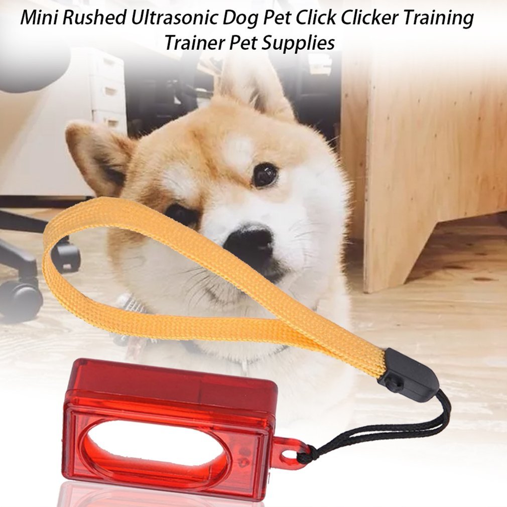 Square Trainer Pet Clicker Image 4
