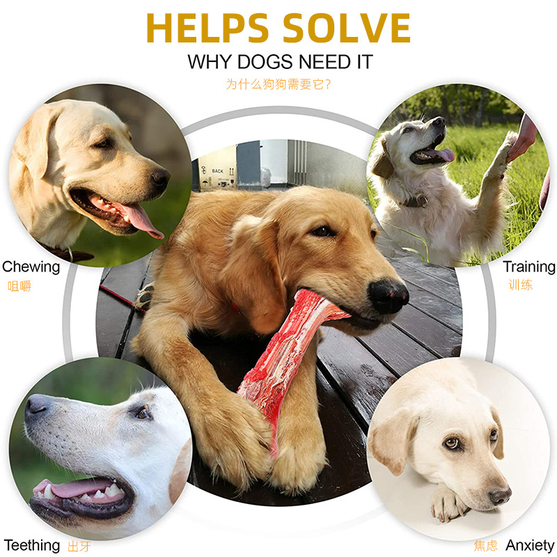 Molar Stick for Dogs
