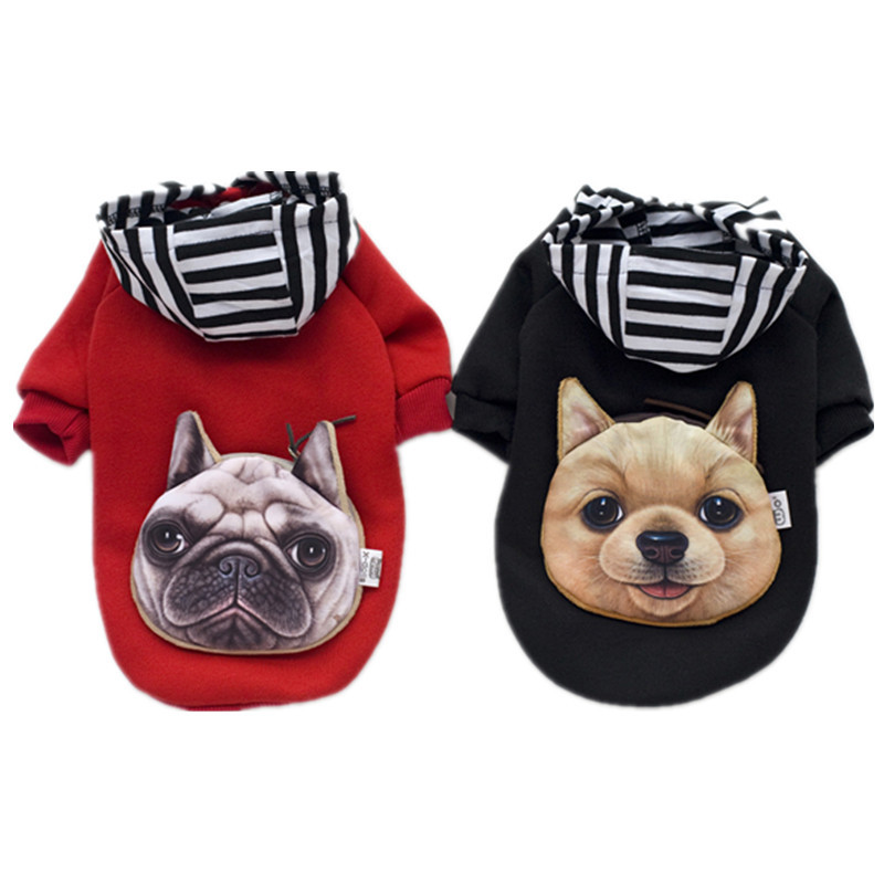 Dog in Black Sweater
