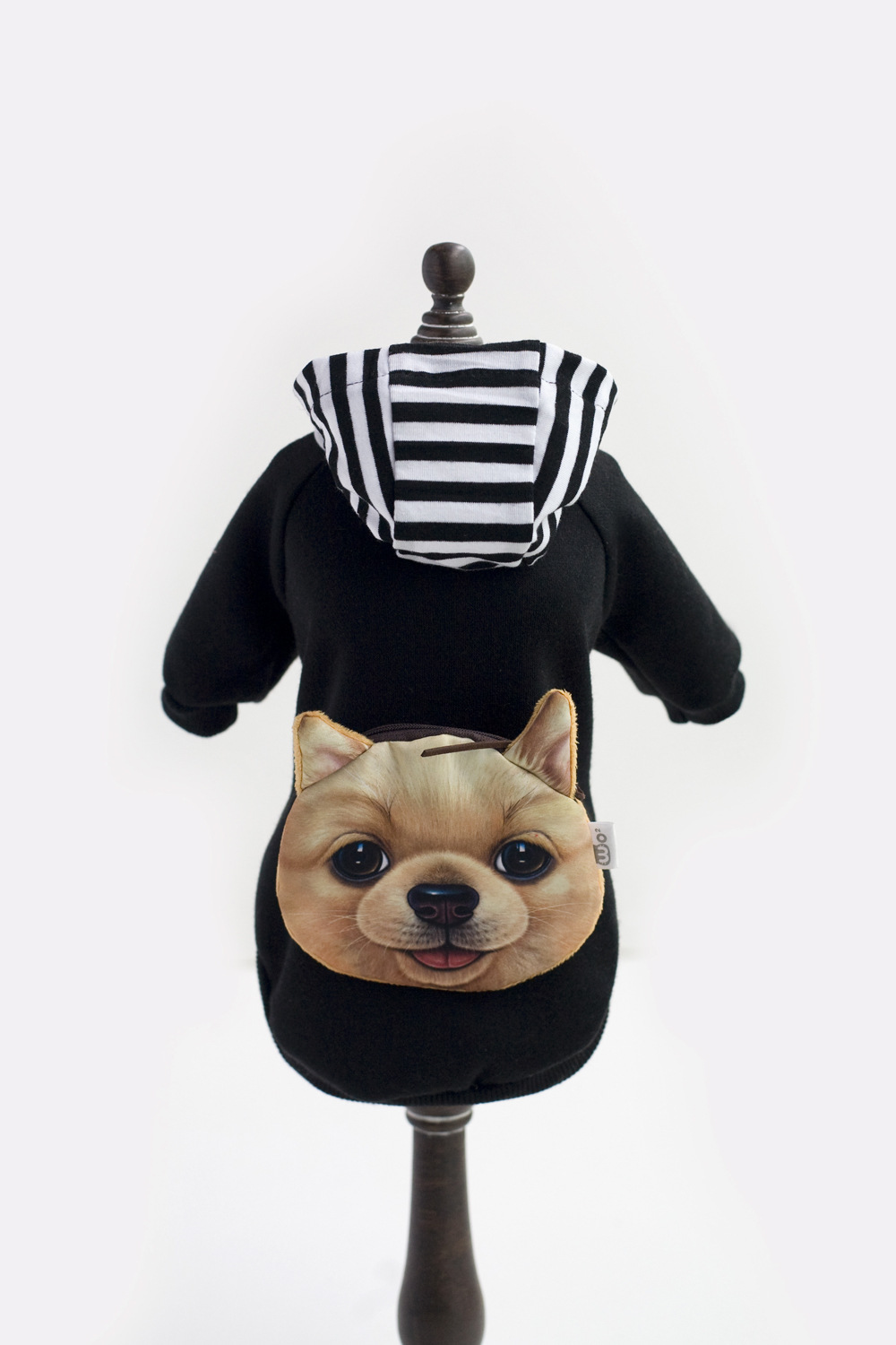 Dog in Red Sweater