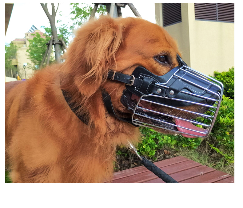 Dog Muzzle Image 4