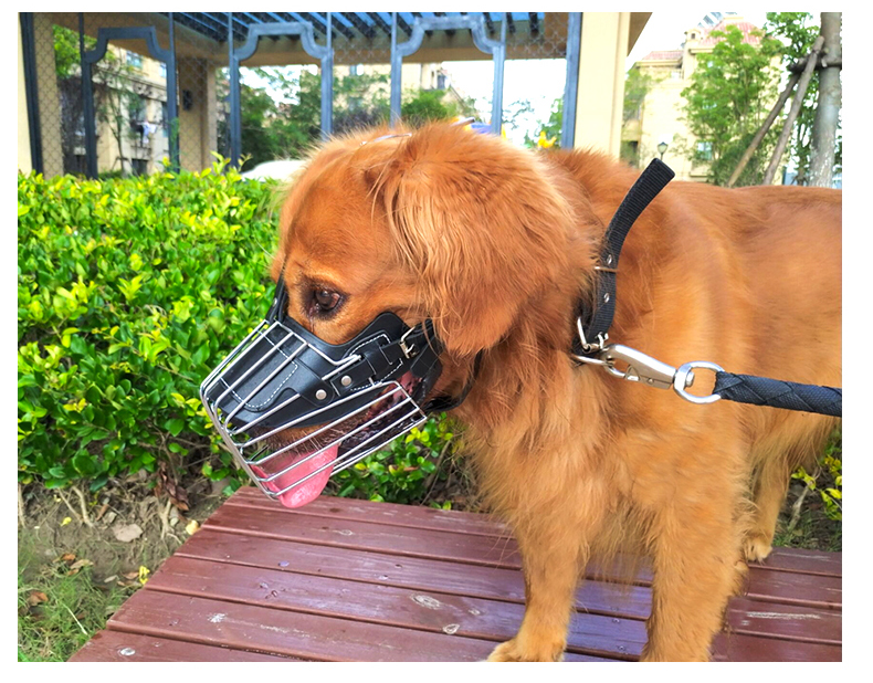 Dog Muzzle Image 5
