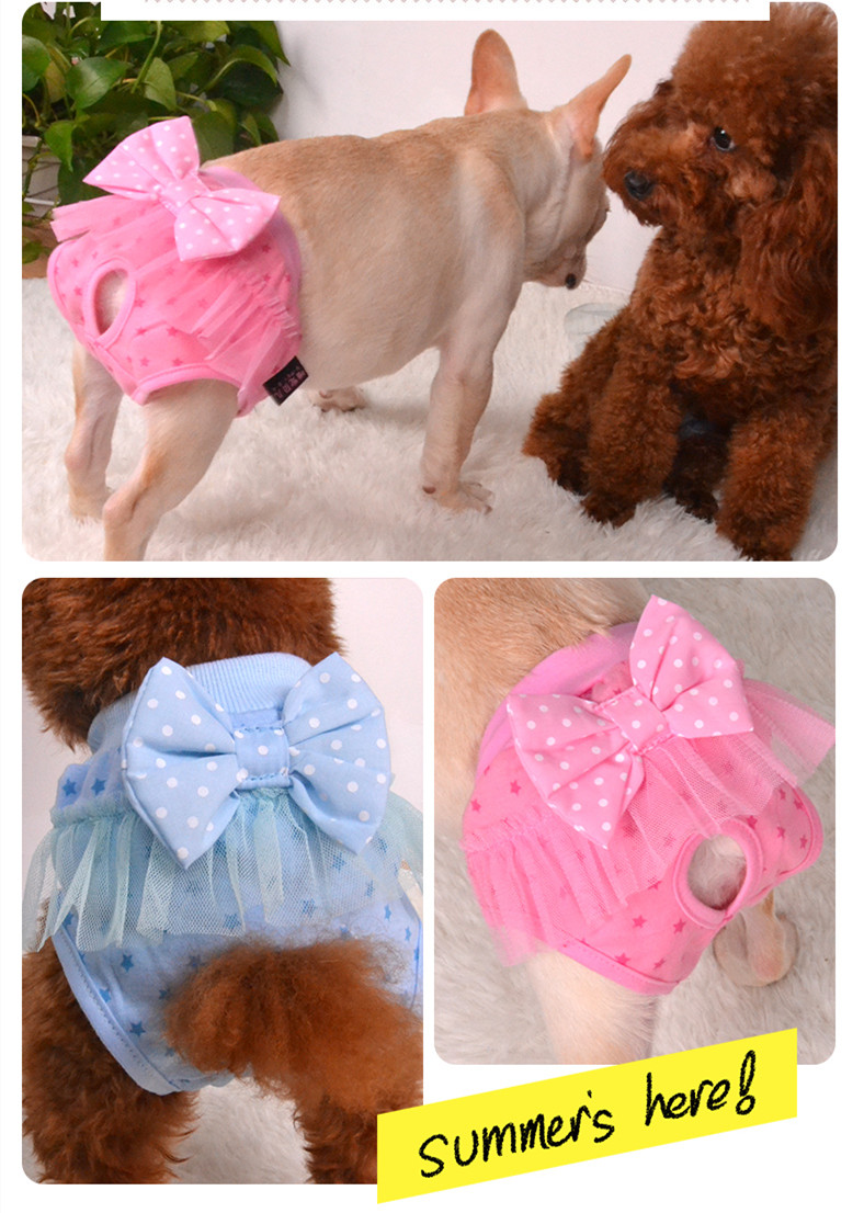 Comfortable dog apparel