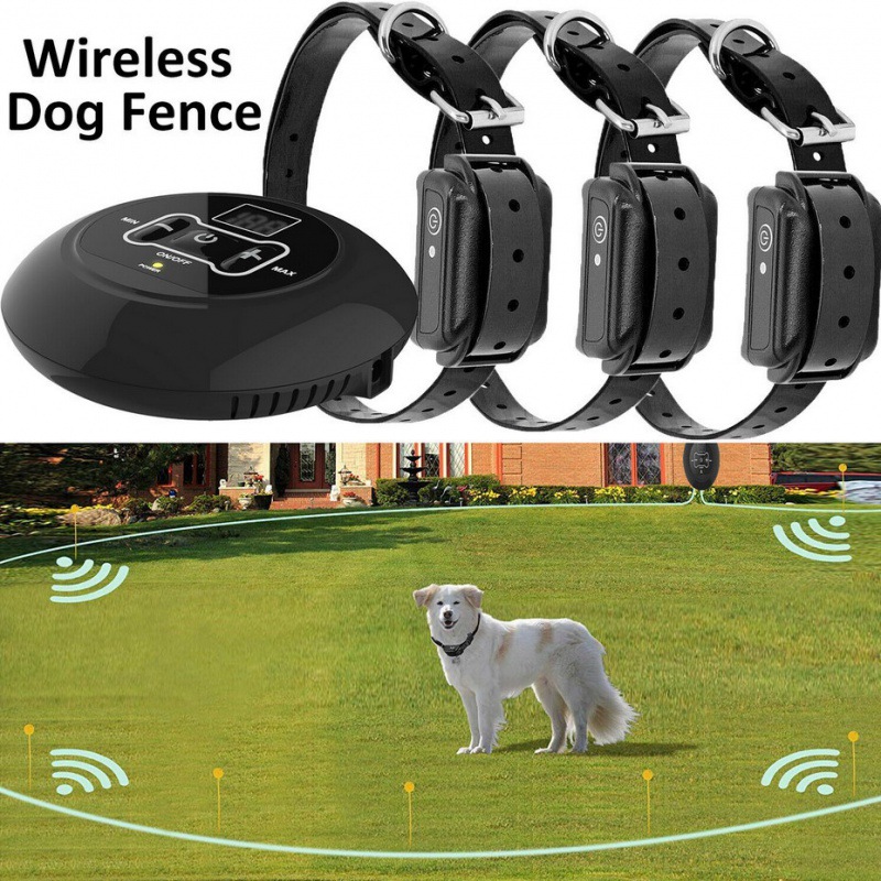 Pet electronic fence system with dual functions