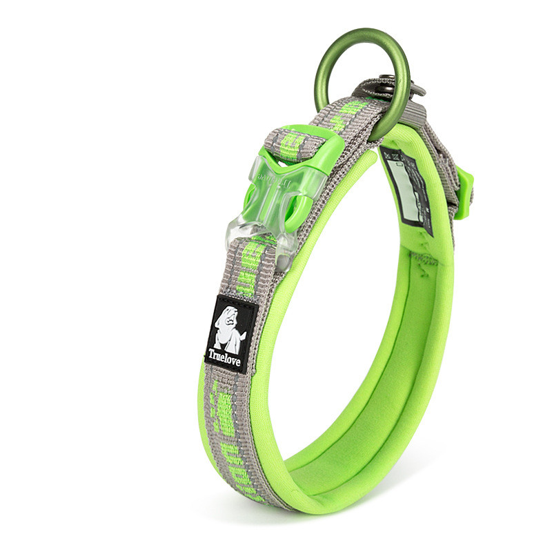 Stylish Dog Collar