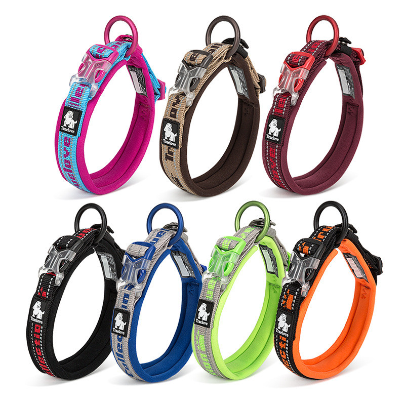 Variety of Dog Collars