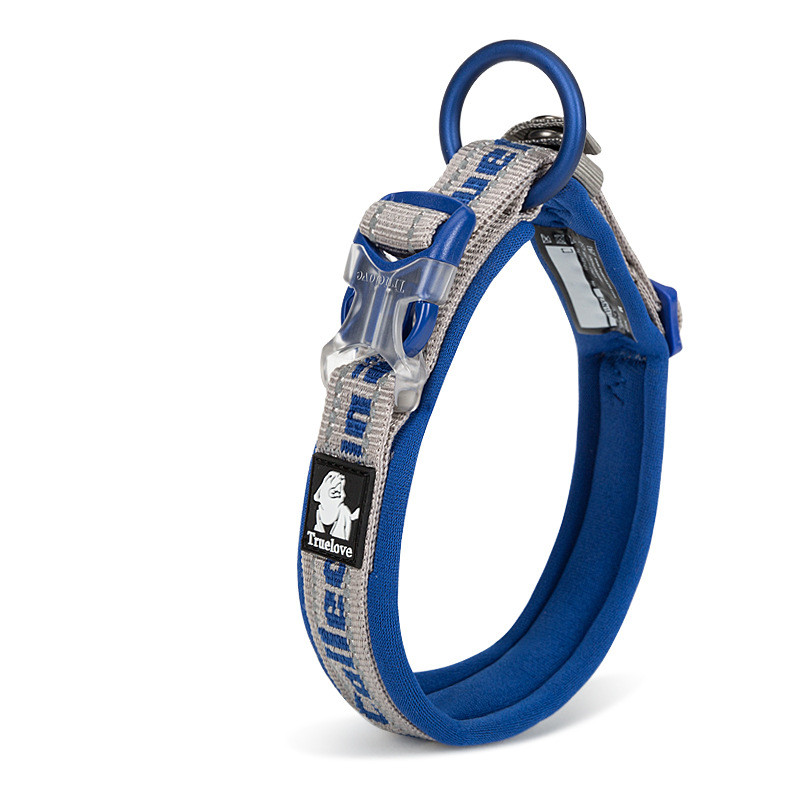 Dog Collar in Use