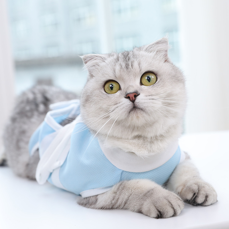 Summer Cat Clothes
