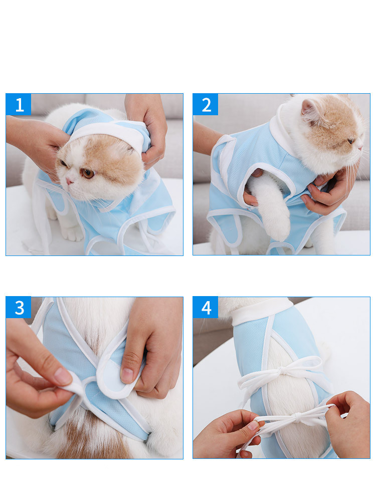 Cute Cat Outfit