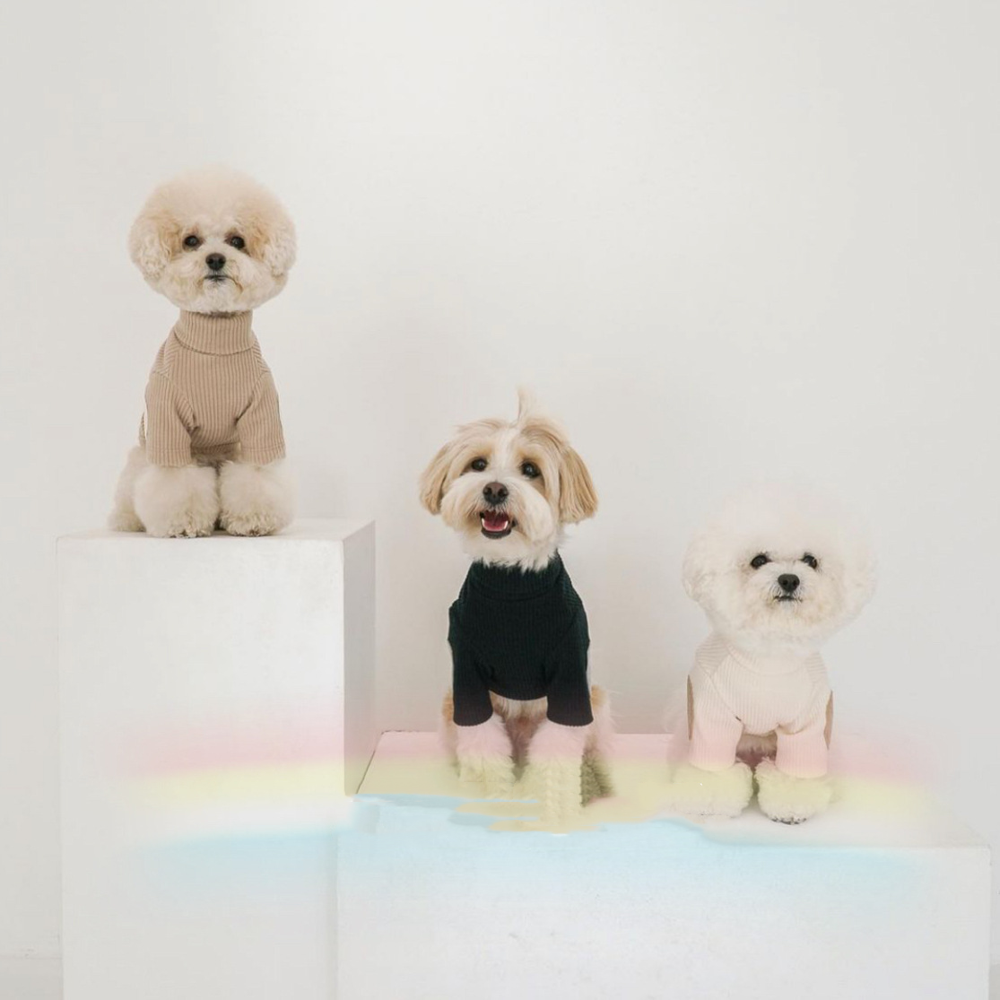 Pet Outfit 2