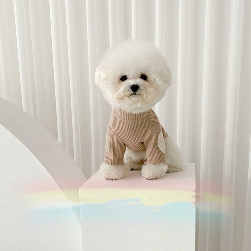 Pet Outfit 3