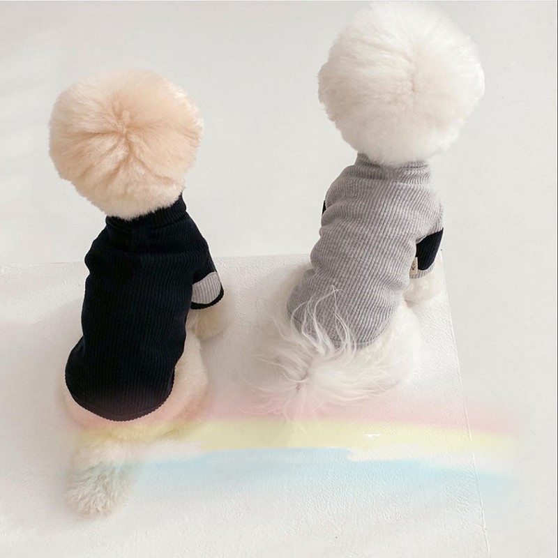 Pet Outfit 4