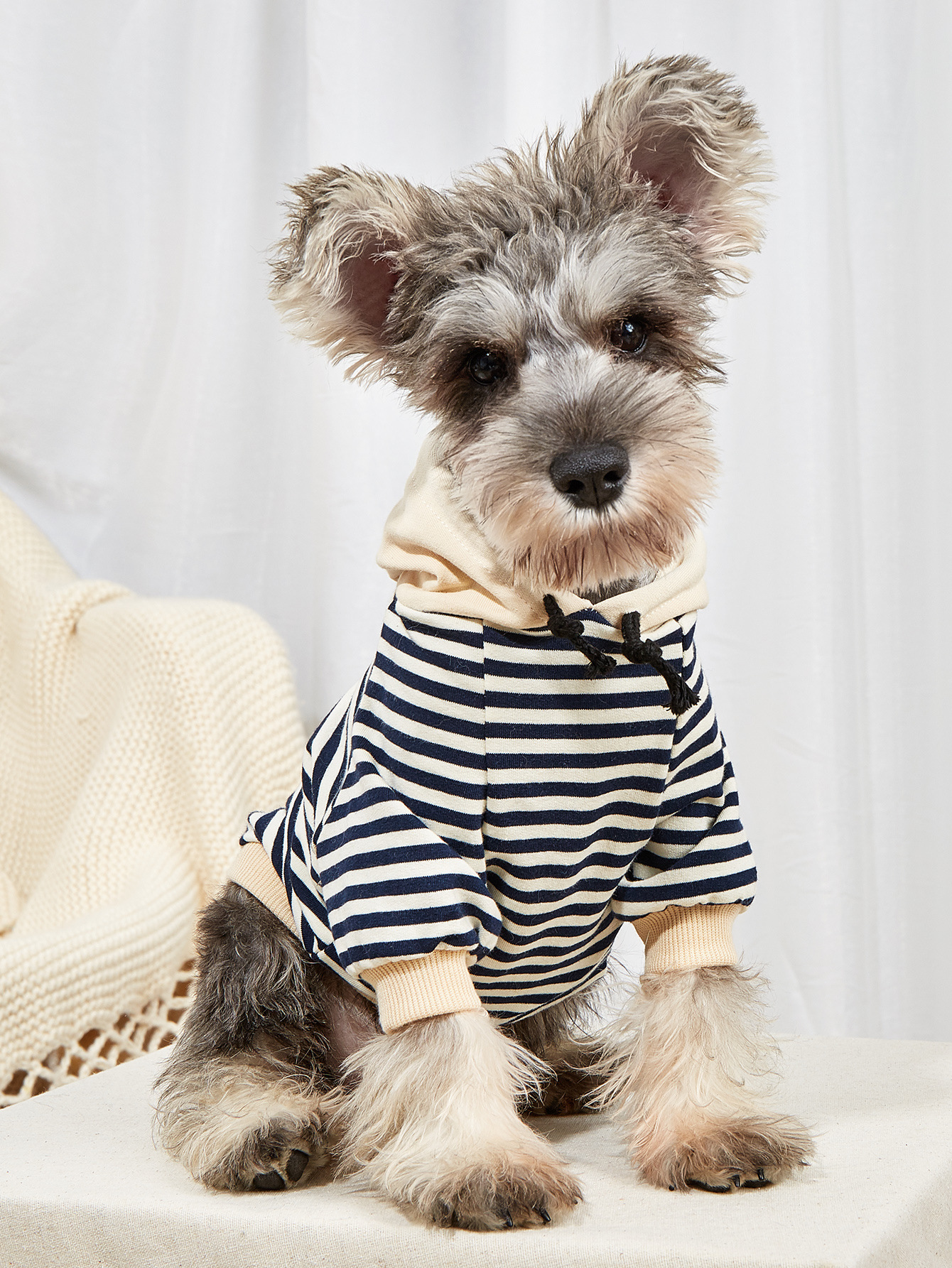Pet Striped Sweater - Image 5