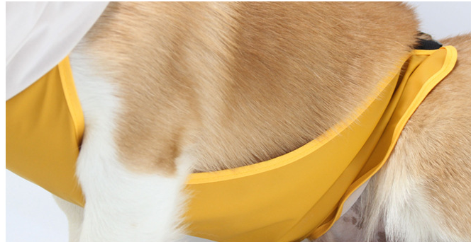 Dog Raincoat Image 5