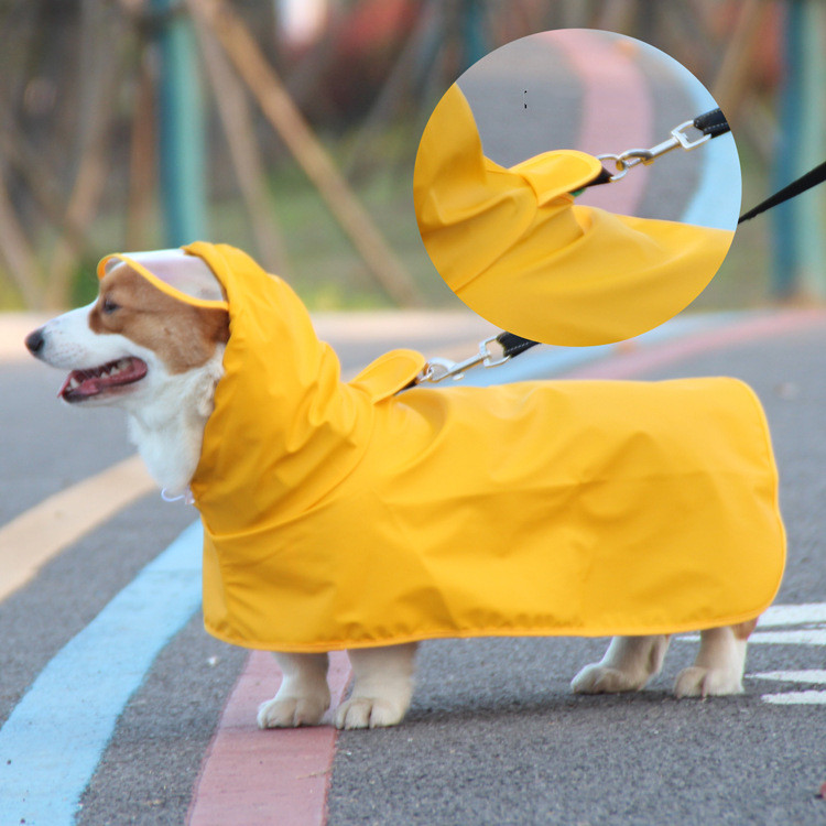 Dog Raincoat Image 2