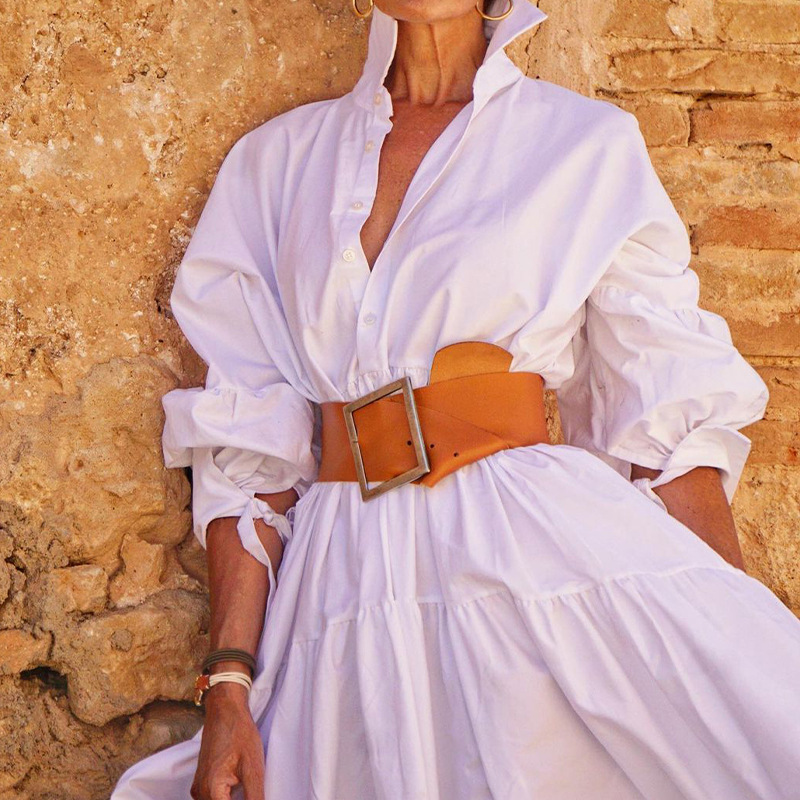 Elegant Dress Image 2