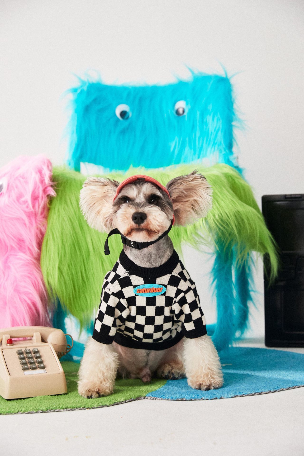 Pet Sweater Image 1