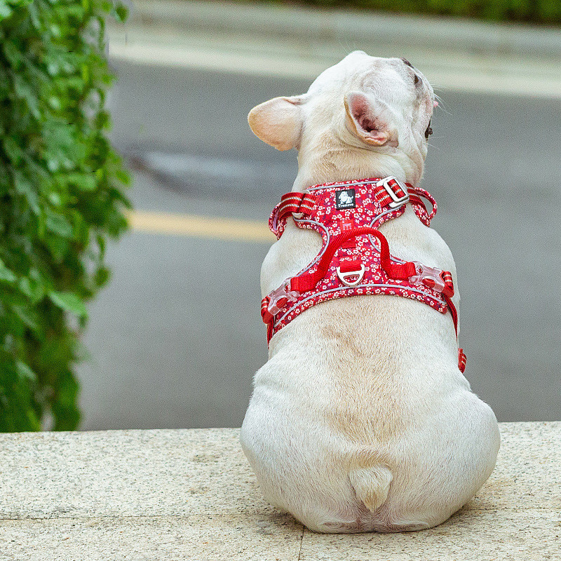 Pet Dog Leash and Vest Chest Harness Set