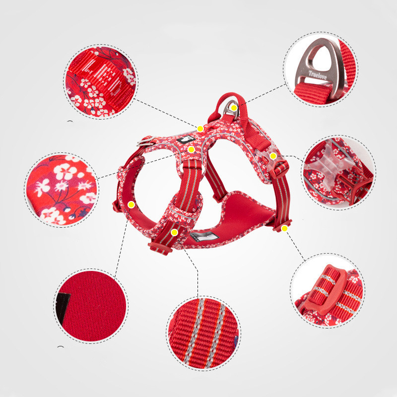 Pet Dog Leash and Vest Chest Harness Set