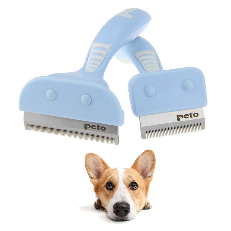 Pet Comb Image 6