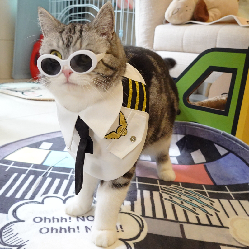 Feline fashion accessory