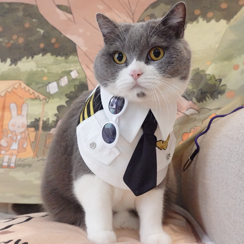 Stylish cat scarf