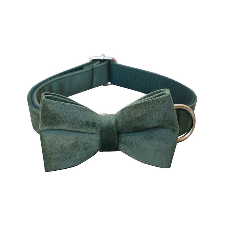 Stylish Dog Collar