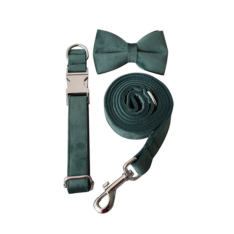 Green Velvet Dog Leash