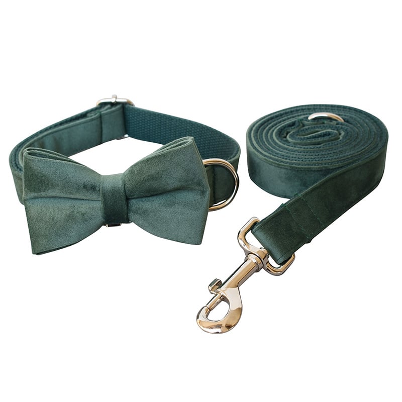 Fashionable Dog Leash