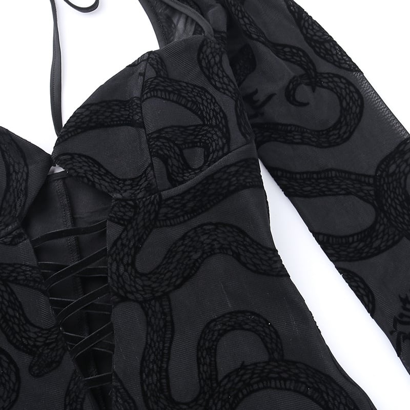 Lace Long Sleeve Dress