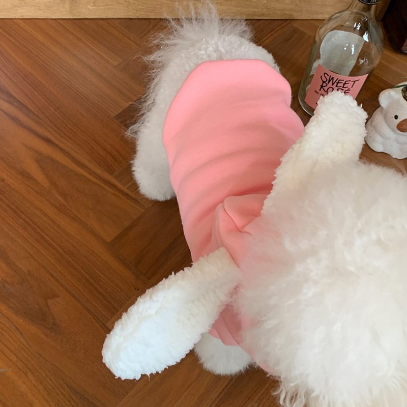 Matcha Pet Dog Sweater - Beige Rabbit Ears