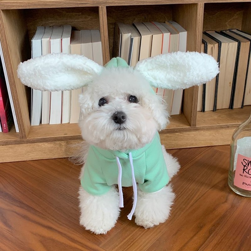Matcha Pet Dog Sweater - Adorable Design
