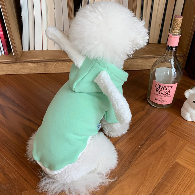 Matcha Pet Dog Sweater - Cozy Fit