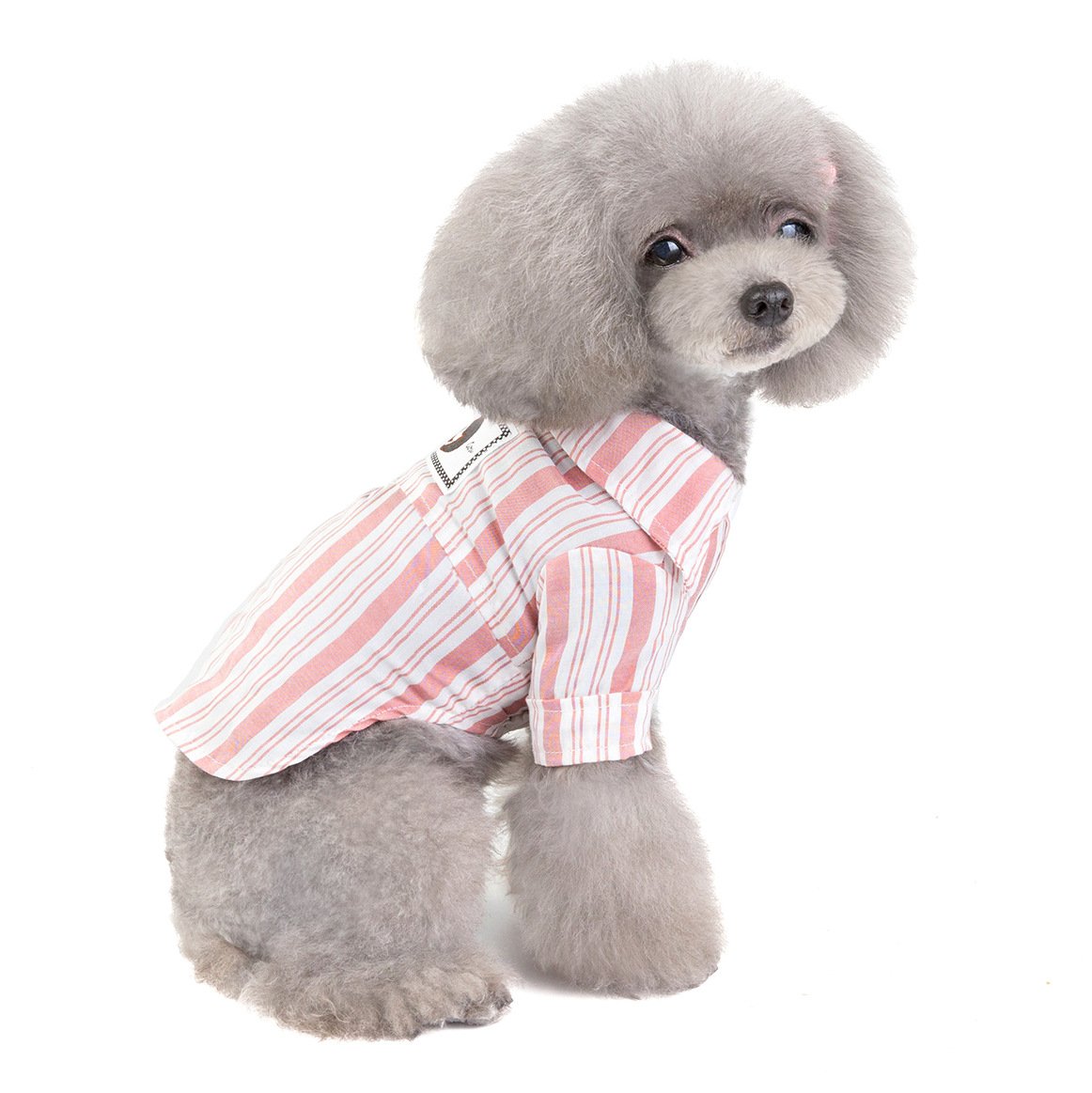 Dog Shirt