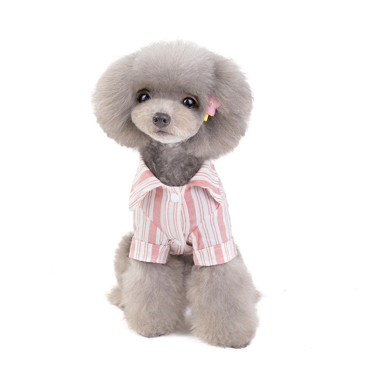 Dog Shirt