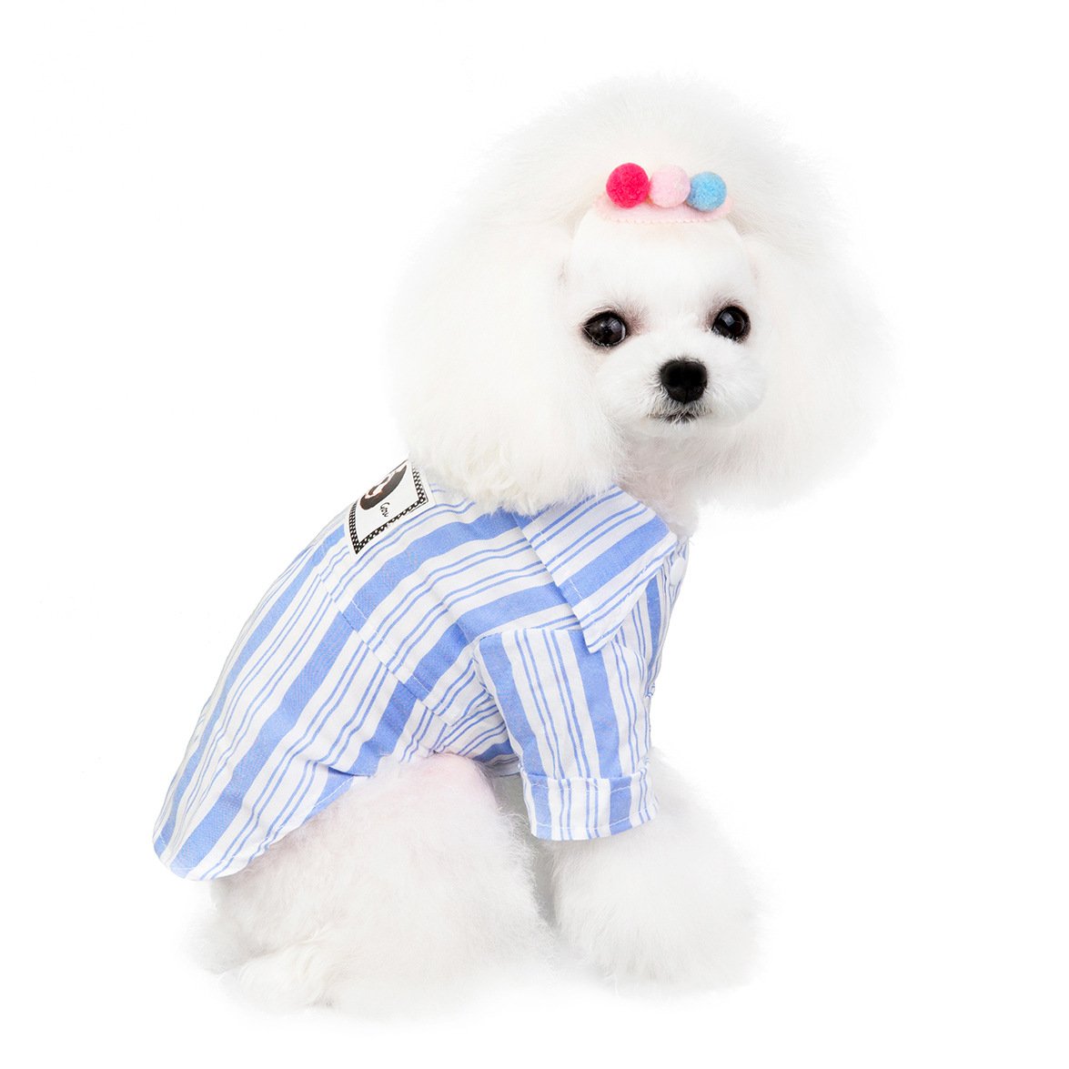 Dog Shirt