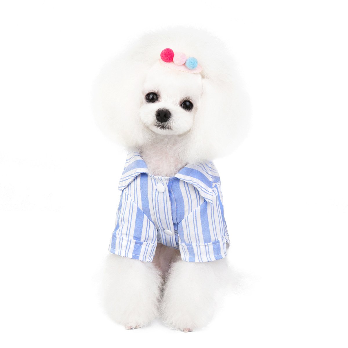Dog Shirt