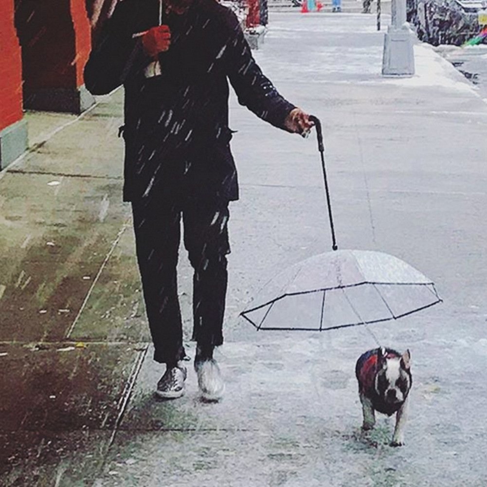 Stylish Pet Umbrella
