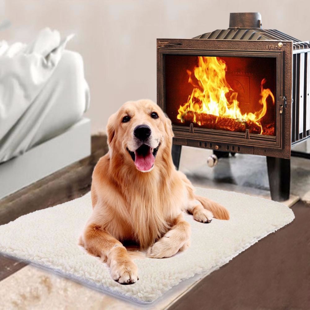 Pet Mat Image 1