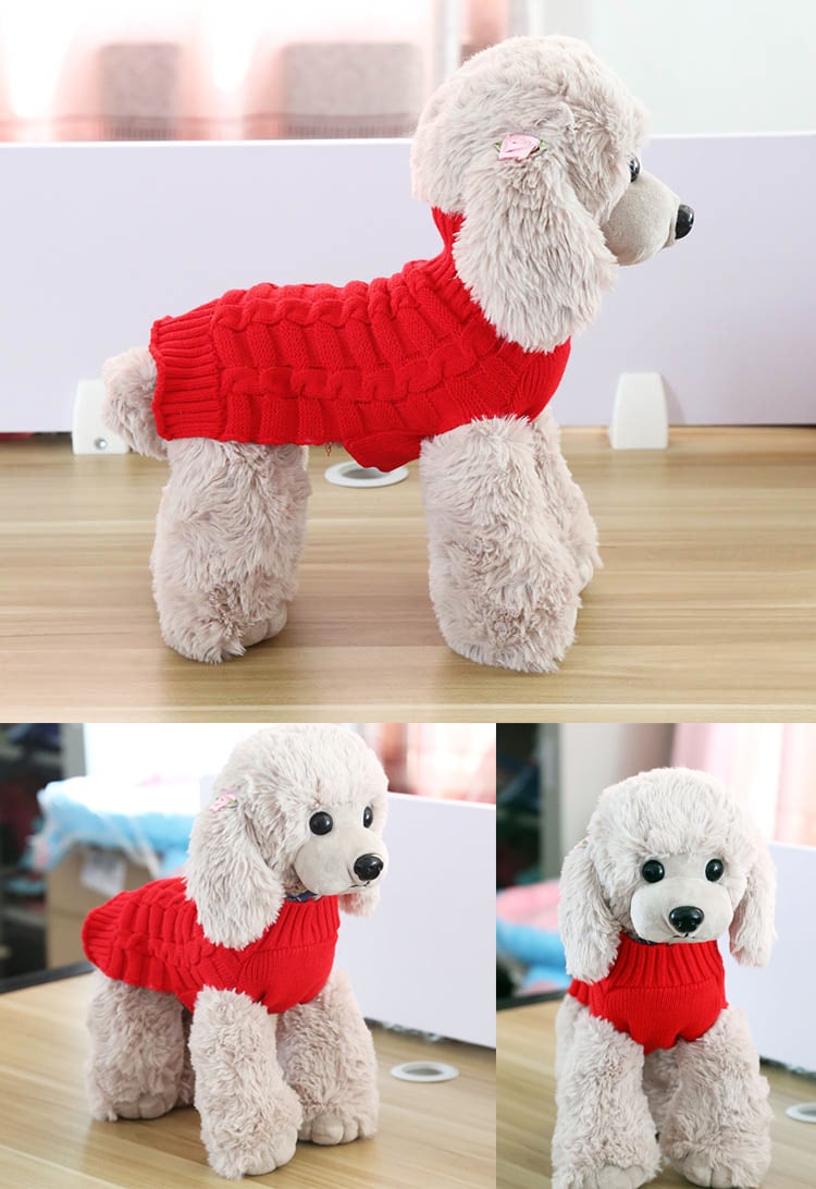Pet Sweater Styled