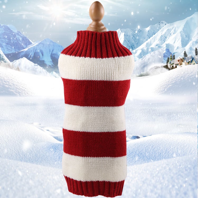 Cozy Pet Sweater