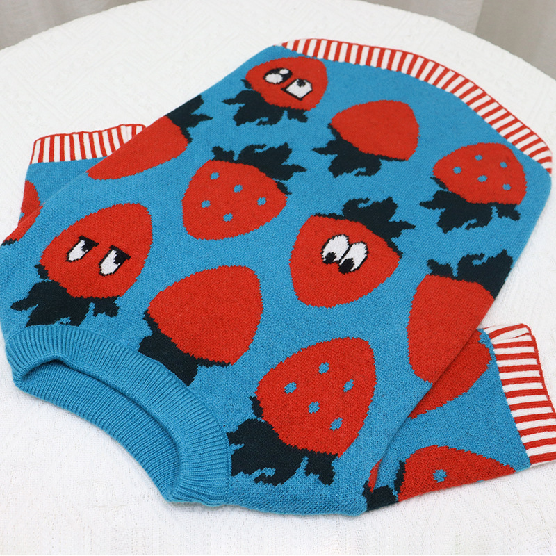 Blue Strawberry Sweater - Front View
