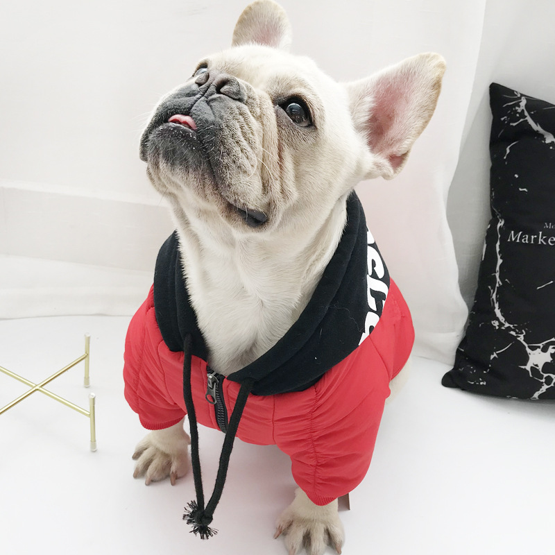Pet Clothes Image 4