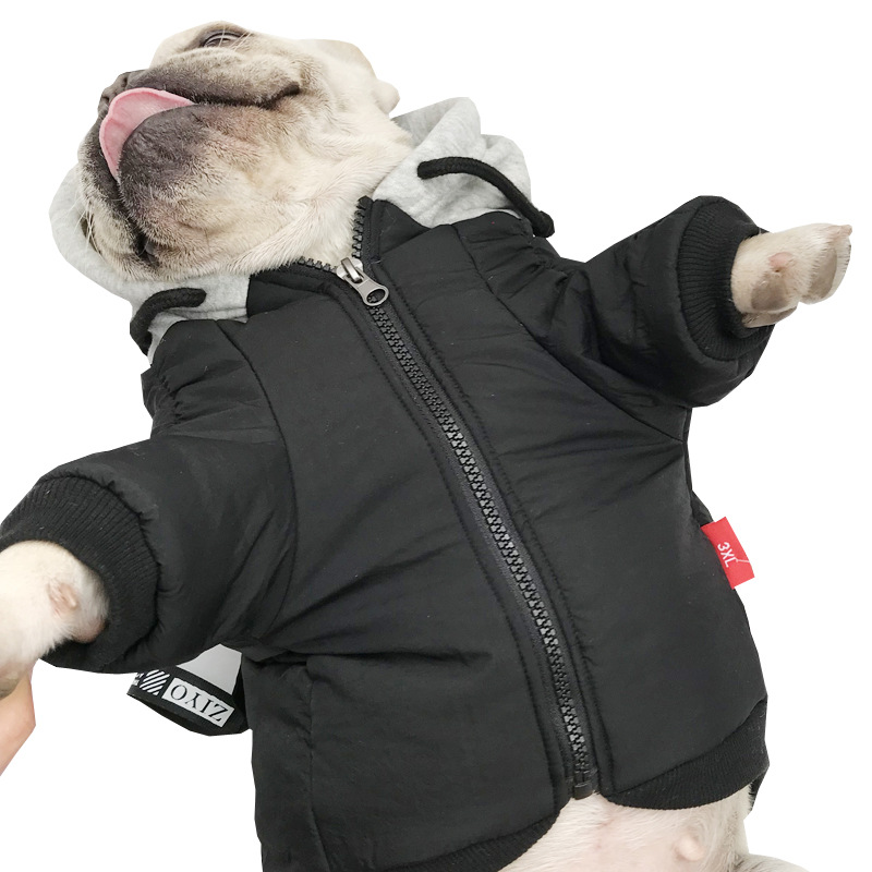 Pet Clothes Image 5