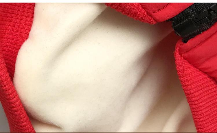 Pet Clothes Image 11