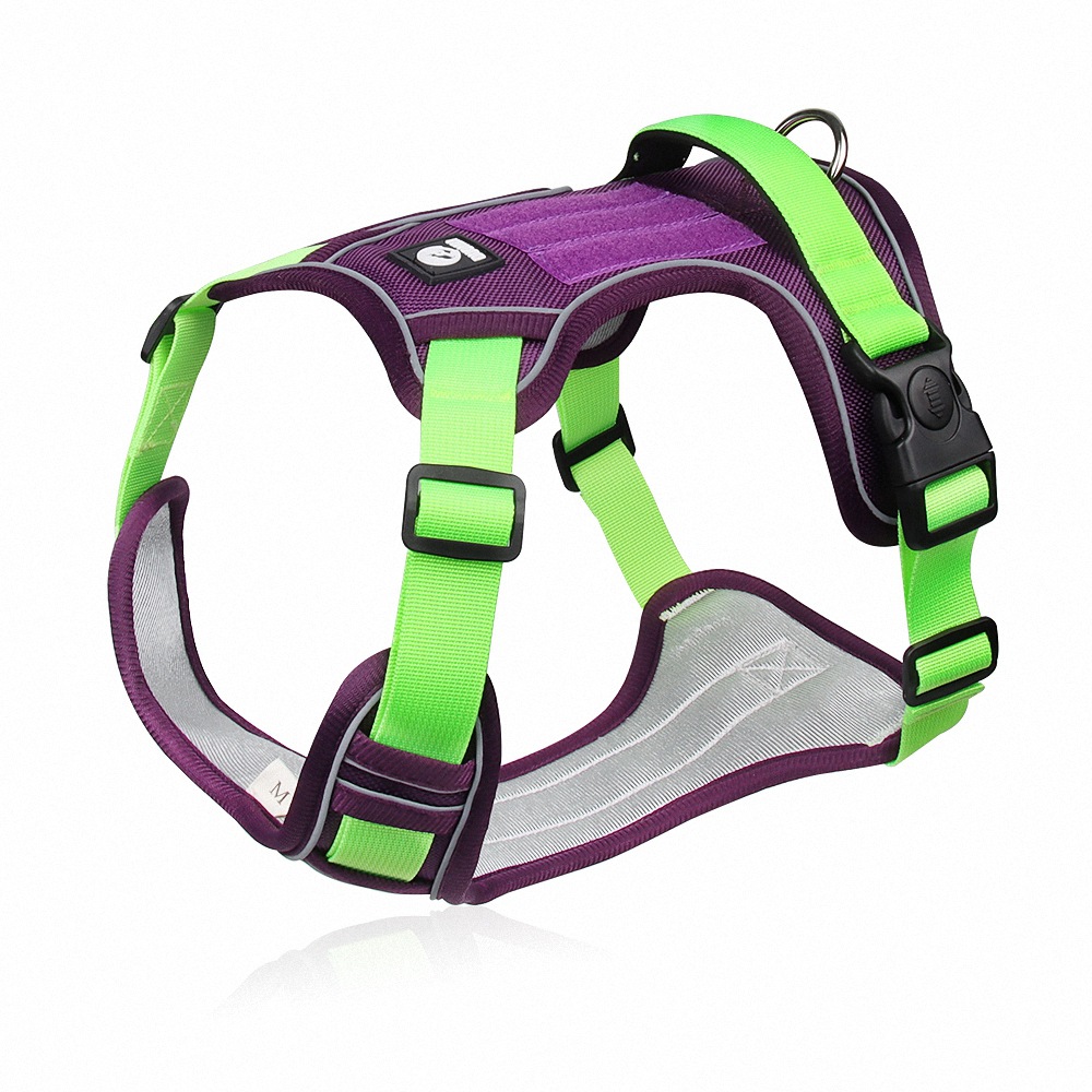 Dog Chest Strap Leash - Image 3
