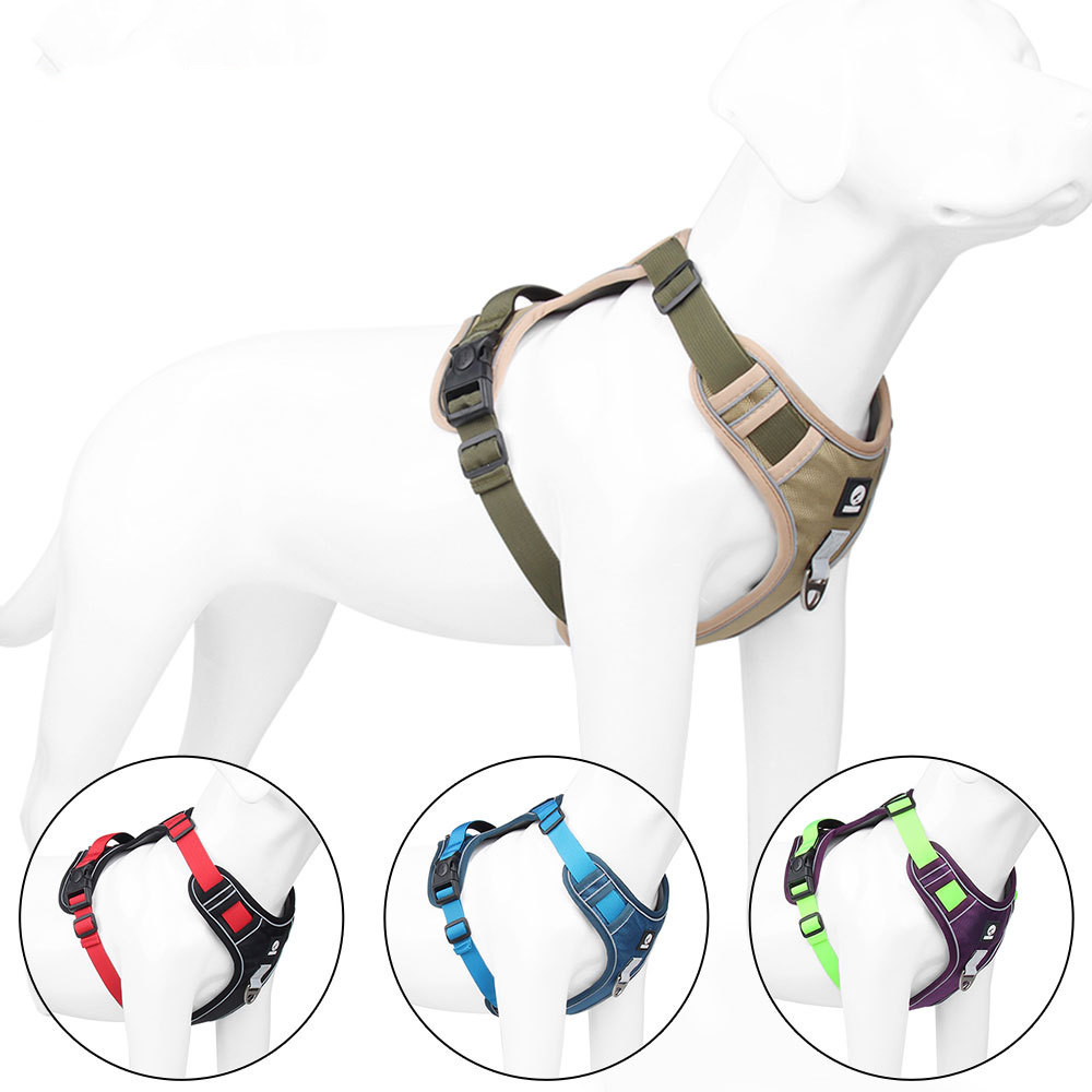 Dog Chest Strap Leash - Image 1