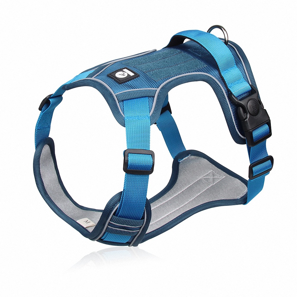 Dog Chest Strap Leash - Image 5