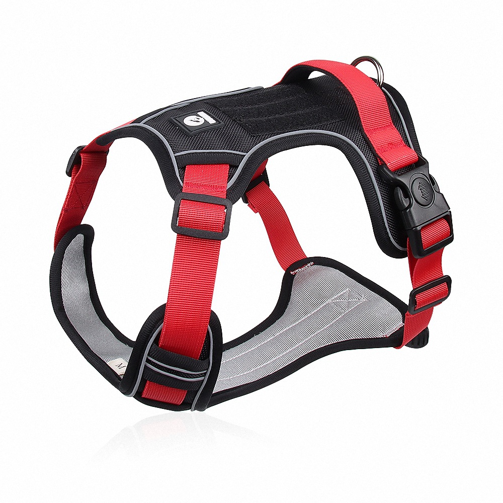 Dog Chest Strap Leash - Image 7