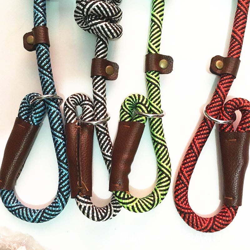 Close-up of Leash